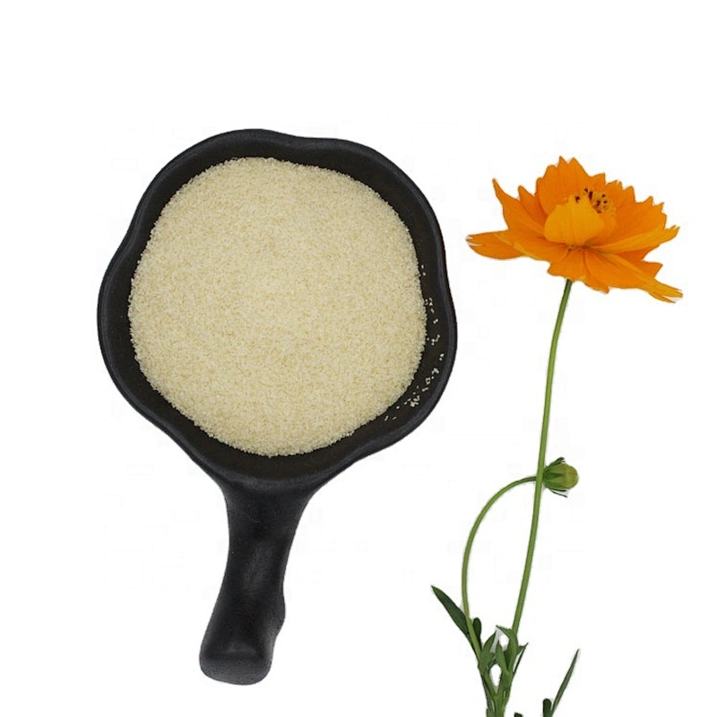 Free sample 1kg halal food grade 250 bloom gelatin powder